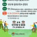 충북 영동여행 / 양산팔경 금강둘레길 걷기 축제 송호국민관광지 출발 이미지