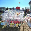 부여백제(공주) | 백제문화제 다녀온 후기:) 공주 백제문화제,부여 백제문화제 둘다 다녀온 후👀♡ 공주 백제문화제 1탄!!