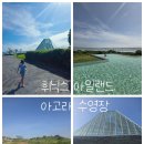 아고라 | 제주 휘닉스 아일랜드 수영장 아고라 인피니티풀 이용 후기