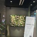 부전빌딩 | 서면 노트북 카페 어디? 부전역 아델라7 다녀온 솔직 후기