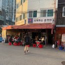 총각네애견 이미지