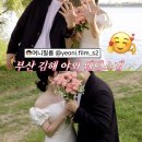 [공지] 핀터레스트 감성 모여! 부산 야외 웨딩스냅 김해 스냅 여니필름 후기 (+촬영 꿀팁)