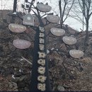 지암유원지 네이버블로그