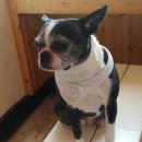 연우목장 이미지