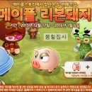 리본펫 이미지