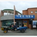 어류포대합실 Daum카페