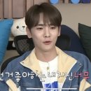 라라스시 이미지