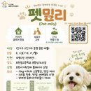 펫밀리# 웹이코노미