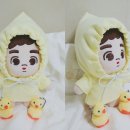 한소리(사-500) 이미지