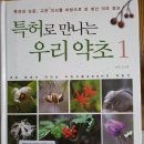 특허로 만나는 우리 약초 이미지