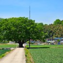 야로경로당 이미지