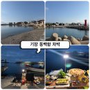 GS25기장월내점 | 부산 기장 취사가능 차박 성지 동백항 다녀온 후기