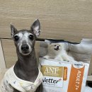 플러스소프트 | 강아지 소프트 사료 ANF 베터플러스 독 기능성 사료 급여 후기