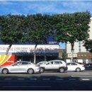 양재대로 이미지