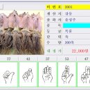 중도매인20호 이미지