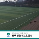 안중레포츠공원 풋살구장