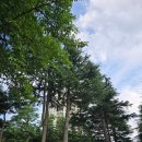 보부상길 (영랑수산) | 속초 1박2일 1일차 영랑호수 윗길 산책길 주차정보 및 둘레길과 범바위 전경