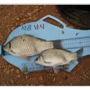 용곡낚시터 이미지