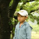 준하농장 이미지