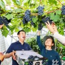 이상우 농장 이미지