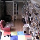 고양이주택 이미지