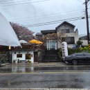 요한이네할인매장여수점 | 여수여행1일차 풀뿌리흑두부 또간집 내돈내산 후기