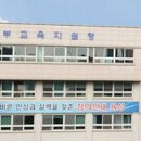 부원초 이미지