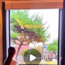 사림동123 이미지