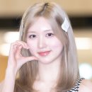 무장해제 이미지