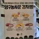 샌드백카페