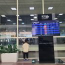 민이푸드 | 씨에스타호텔 체크인, 비네일,디노젤라또,슈렉샵크록스구매,롯데마트맥주구매와 푸드코트와 오락실)