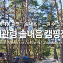 대관령솔내음오토캠핑장 이미지