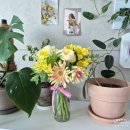 요요플라워 | 꽃 정기 구독 서비스, 플립플라워에서 받는 싱싱한 꽃 배송 후기