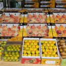 청솔청과 이미지