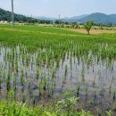 문호농장 이미지