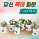 씨유 경기수정점 | 충남 논산 농협 승진 개업 축하 화분 배송하며 다녀온 반월소바 맛집