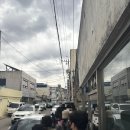 영광 맥락브레드 내돈내산 후기/바스크치즈케이크,깜바뉴