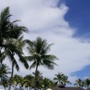 테라호텔 이미지