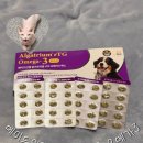 고양이눈 | 메이드인랩 알가트리움 오메가3 후기 강아지 고양이 피부 눈건강 영양제 추천