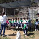 다우리어린이집 이미지