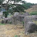 유포석보 이미지