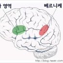 외국어로서의 한국어교육개론 이미지