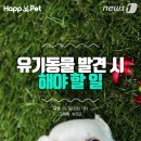 카드119