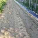 왕자농장 이미지