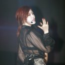 시크릿노래클럽