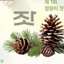 서석초등학교청량분교장 네이버블로그