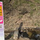 동막골약수터 이미지