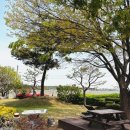 플렉스프라이빗풀빌라 이미지