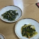 도토리언니 | 용인 신봉동 맛집 광교산도토리 평일 점심 방문 후기