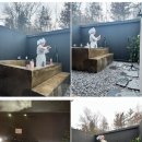 피누스스토어글로벌 이미지